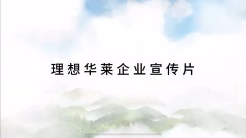 保险带英语怎么说怎么写